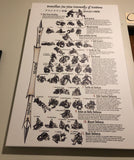Brazilian Jiu-Jitsu Hierarchy of Positions - Canvas Art Print 24" x 36"