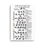 Brazilian Jiu-Jitsu Hierarchy of Positions - Canvas Art Print 24" x 36"